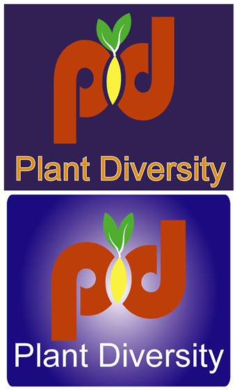 Graphics Designing: logo design